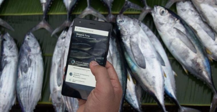 Using Block Chain For Fish Traceability, From The Waters To Your Table