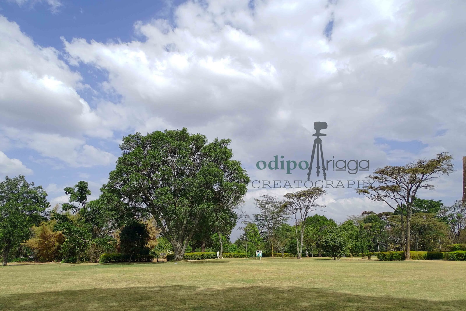 Photography Locations in Kenya
