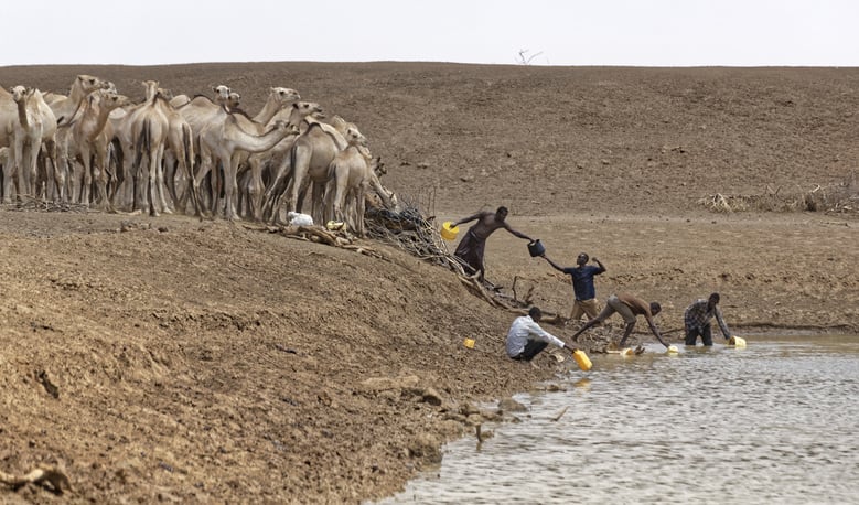 The Government is squarely to blame for the effects of drought