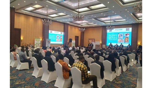 Egypt Kenya Business Bridge Forum