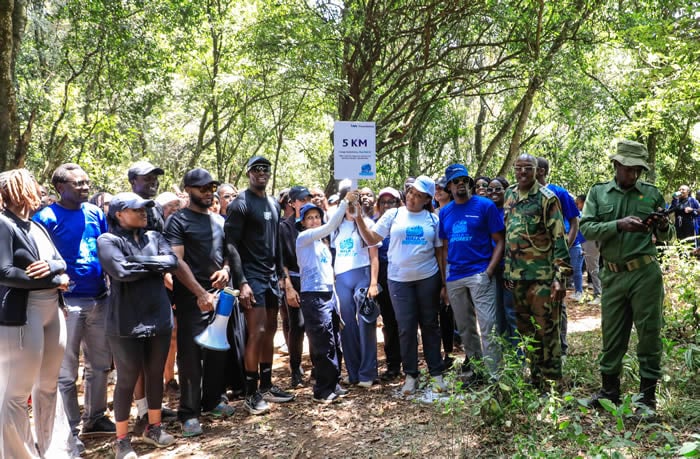 From balance sheets to forest trails: I&M Group broadens its sustainability ambitions