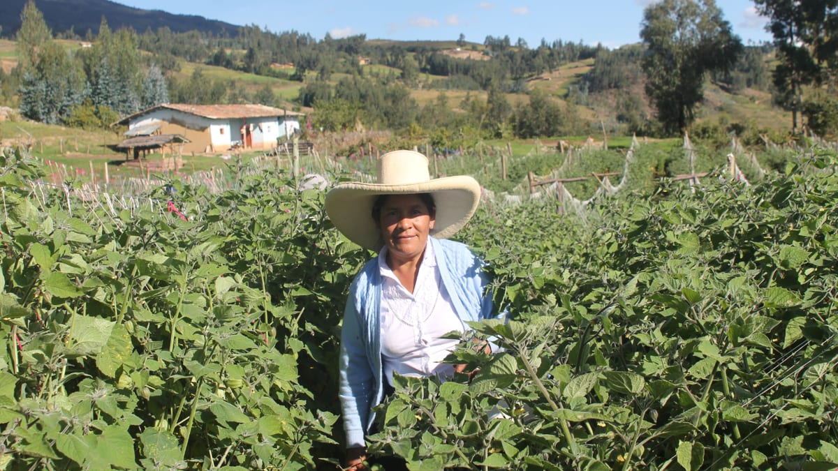 Grassroot Business Fund