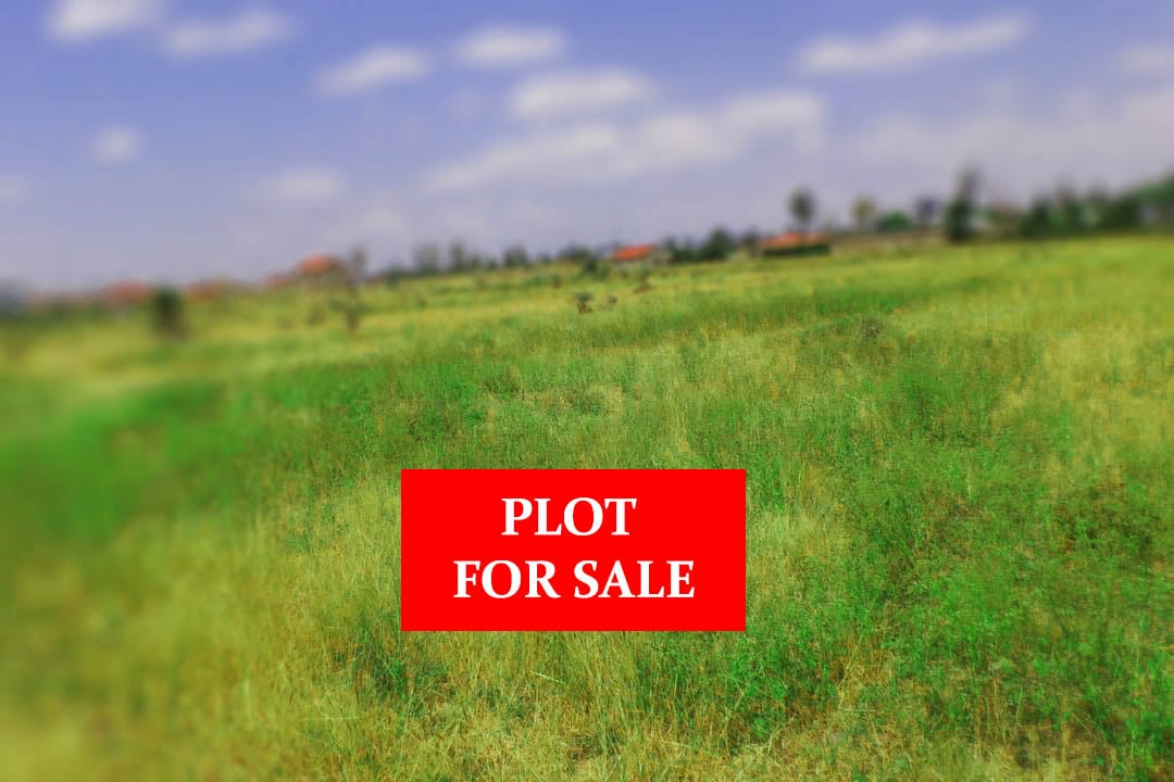 Kenyans are buying land differently due to shifting credit market