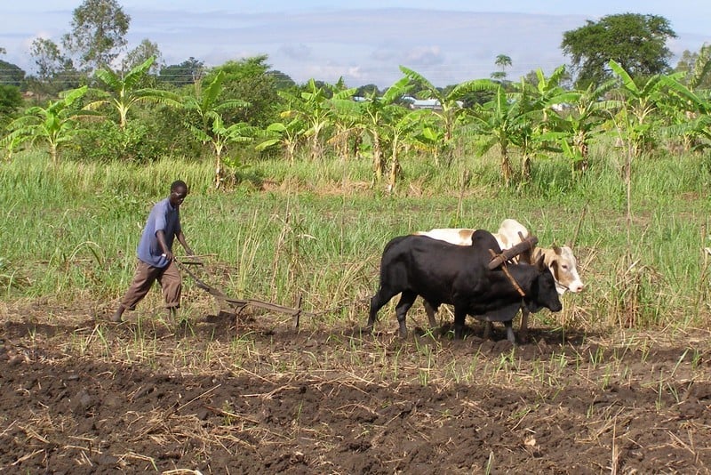 Kenyan lifestye