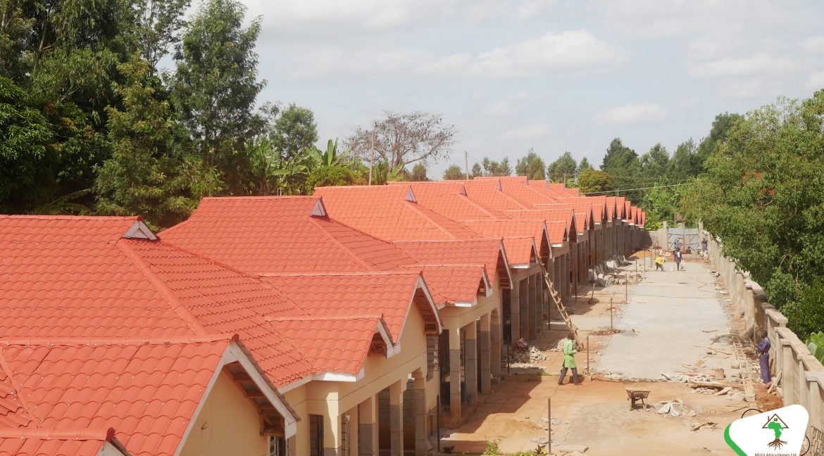 mizizi africa homes