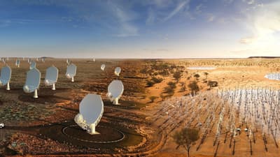 Artist impression SKA telescopes.jpg