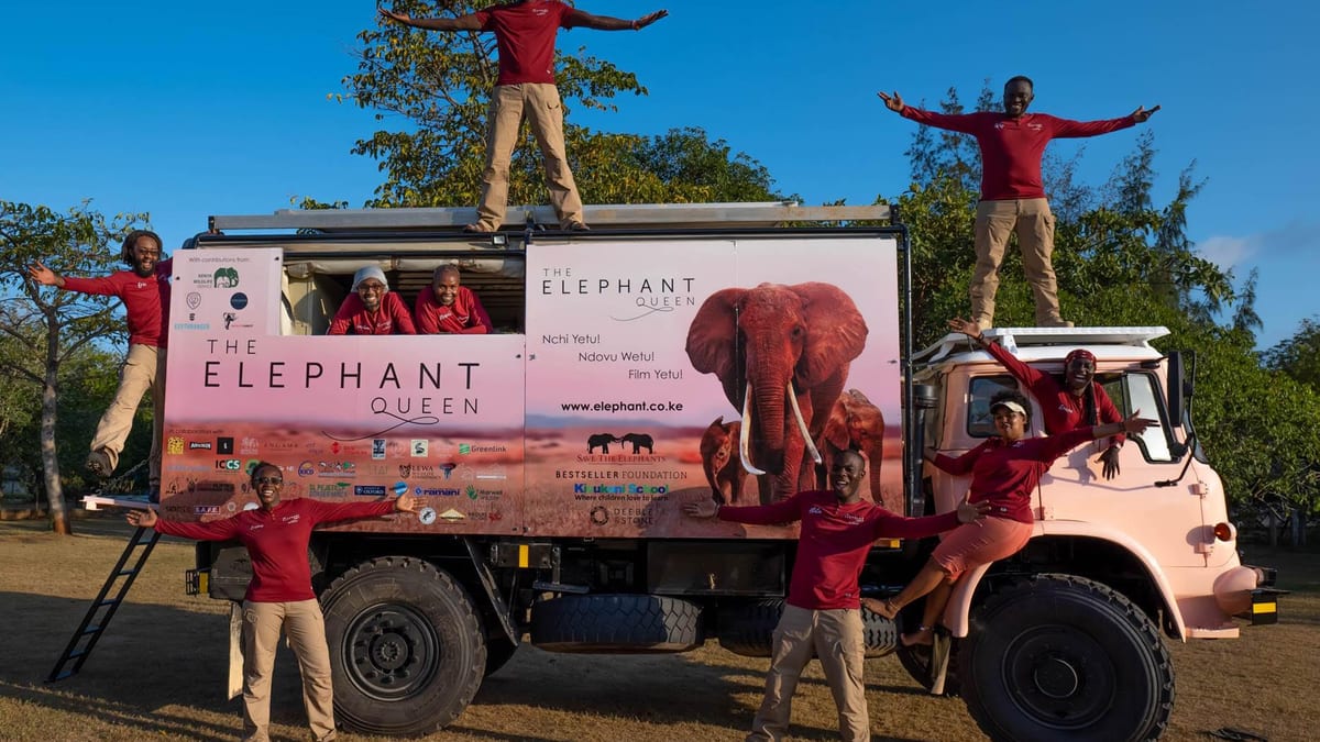 The Elephant Queen