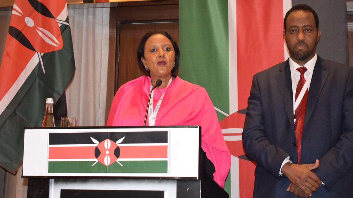 Kenya bags three positions in top UN agency for postal services