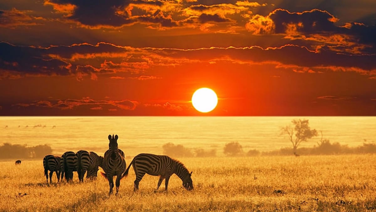 tourism industry