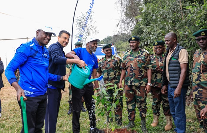 From balance sheets to forest trails: I&M Group broadens its sustainability ambitions