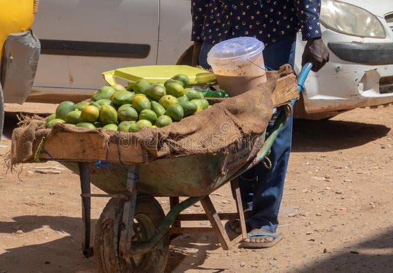 wheelbarrows william ruto